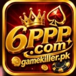 6PPP logo