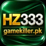 hz333 Game